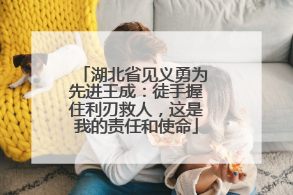 湖北省见义勇为先进王成：徒手握住利刃救人，这是我的责任和使命