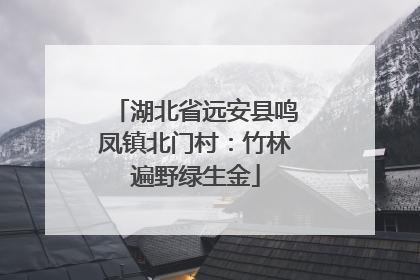 湖北省远安县鸣凤镇北门村：竹林遍野绿生金