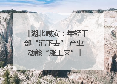 湖北咸安：年轻干部“沉下去” 产业动能“涨上来”