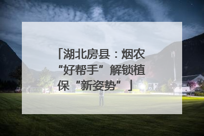 湖北房县：烟农“好帮手”解锁植保“新姿势”