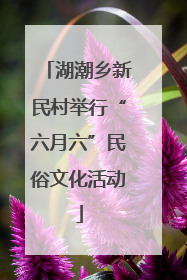 湖潮乡新民村举行“六月六”民俗文化活动