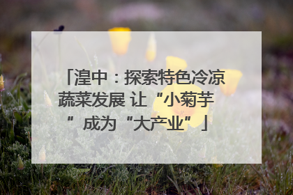 湟中：探索特色冷凉蔬菜发展 让“小菊芋”成为“大产业”