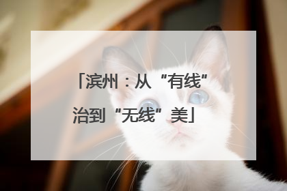 滨州：从“有线”治到“无线”美