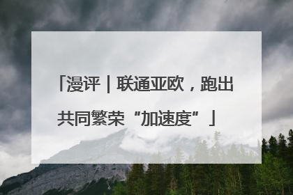 漫评｜联通亚欧，跑出共同繁荣“加速度”
