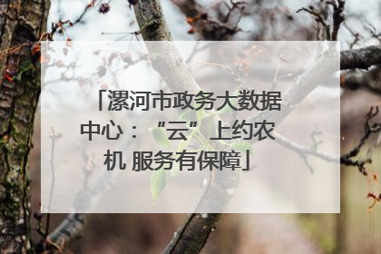 漯河市政务大数据中心：“云”上约农机 服务有保障
