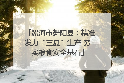 漯河市舞阳县：精准发力“三夏”生产 夯实粮食安全基石