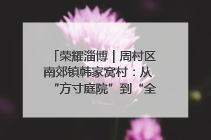 荣耀淄博｜周村区南郊镇韩家窝村：从“方寸庭院”到“全域文明”，乡村振兴的“美学革命”