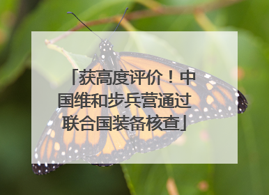获高度评价！中国维和步兵营通过联合国装备核查