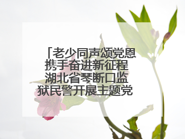 老少同声颂党恩 携手奋进新征程 湖北省琴断口监狱民警开展主题党日活动