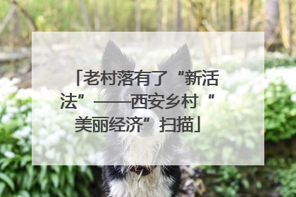 老村落有了“新活法”——西安乡村“美丽经济”扫描