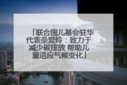 联合国儿基会驻华代表桑爱玲：致力于减少碳排放 帮助儿童适应气候变化