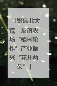 聚焦北大荒｜友谊农场“稻耳轮作”产业振兴“花开两朵”