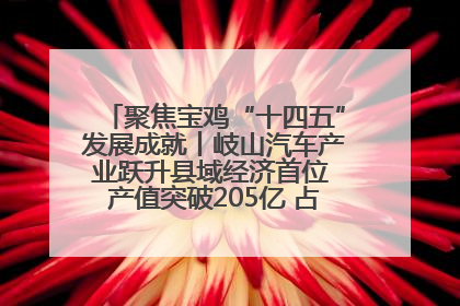 聚焦宝鸡“十四五”发展成就丨岐山汽车产业跃升县域经济首位 产值突破205亿 占规上工业75%