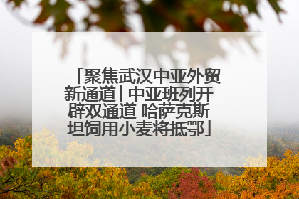聚焦武汉中亚外贸新通道│中亚班列开辟双通道 哈萨克斯坦饲用小麦将抵鄂