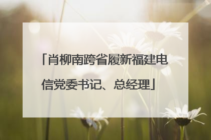 肖柳南跨省履新福建电信党委书记、总经理