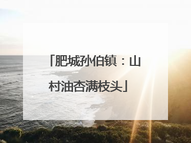 肥城孙伯镇：山村油杏满枝头