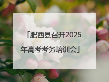 肥西县召开2025年高考考务培训会