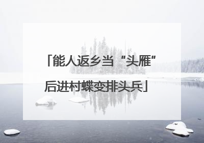 能人返乡当“头雁” 后进村蝶变排头兵