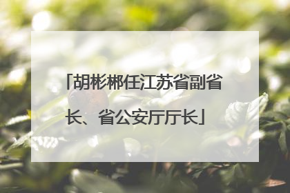 胡彬郴任江苏省副省长、省公安厅厅长