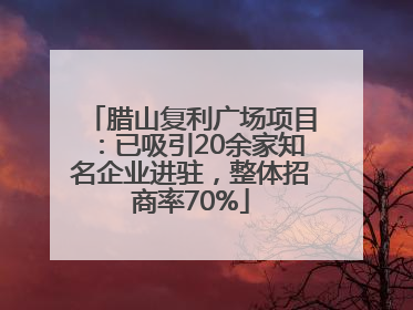 腊山复利广场项目：已吸引20余家知名企业进驻，整体招商率70%