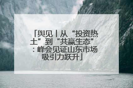舆见丨从“投资热土”到“共赢生态”：峰会见证山东市场吸引力跃升
