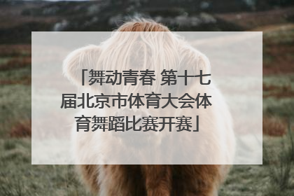 舞动青春 第十七届北京市体育大会体育舞蹈比赛开赛