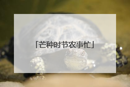 芒种时节农事忙