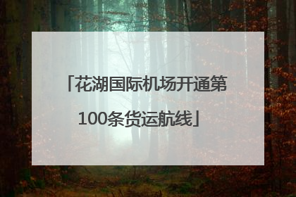 花湖国际机场开通第100条货运航线