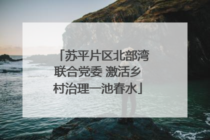 苏平片区北部湾联合党委 激活乡村治理一池春水