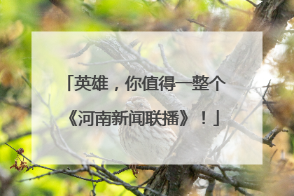 英雄，你值得一整个《河南新闻联播》！