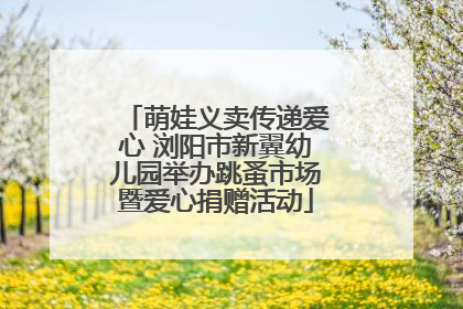 萌娃义卖传递爱心 浏阳市新翼幼儿园举办跳蚤市场暨爱心捐赠活动