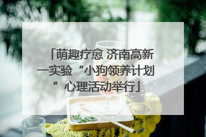 萌趣疗愈 济南高新一实验“小狗领养计划”心理活动举行