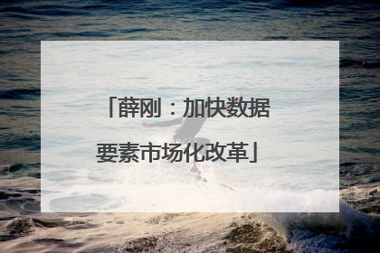 薛刚：加快数据要素市场化改革