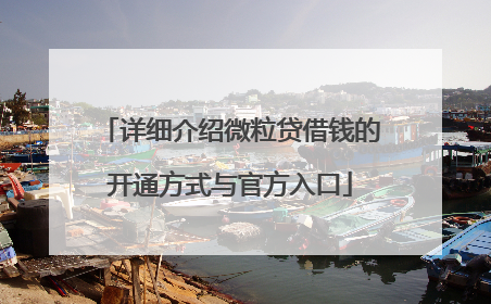 详细介绍微粒贷借钱的开通方式与官方入口