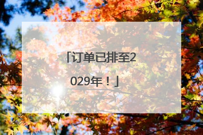 订单已排至2029年！