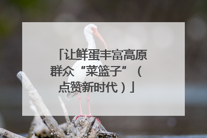 让鲜蛋丰富高原群众“菜篮子”（点赞新时代）