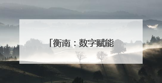 衡南：数字赋能+机制创新 打造营商环境新高地