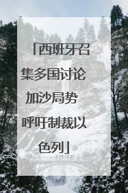 西班牙召集多国讨论加沙局势 呼吁制裁以色列