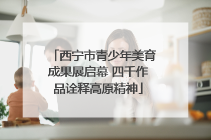 西宁市青少年美育成果展启幕 四千作品诠释高原精神