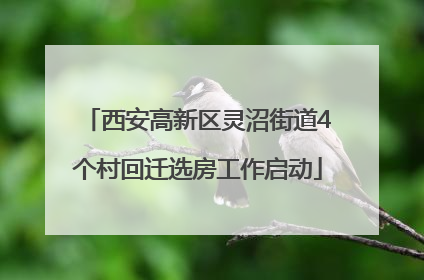 西安高新区灵沼街道4个村回迁选房工作启动