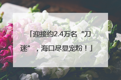 迎接约2.4万名“刀迷”，海口尽显宠粉！