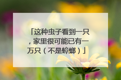 这种虫子看到一只，家里很可能已有一万只（不是蟑螂）