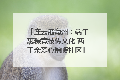 连云港海州：端午裹粽竞技传文化 两千余爱心粽暖社区