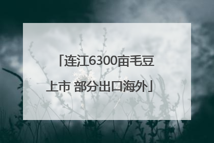 连江6300亩毛豆上市 部分出口海外
