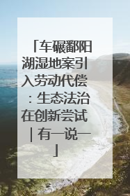 车碾鄱阳湖湿地案引入劳动代偿：生态法治在创新尝试｜有一说一