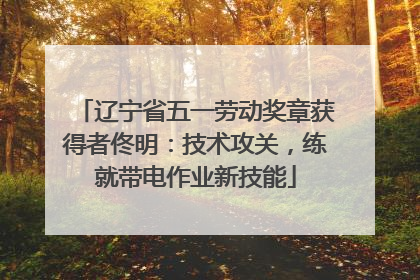 辽宁省五一劳动奖章获得者佟明：技术攻关，练就带电作业新技能
