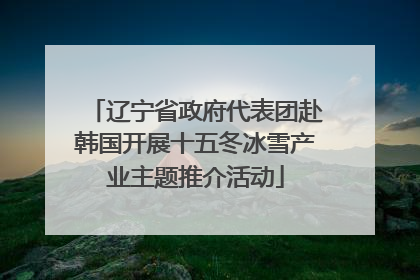 辽宁省政府代表团赴韩国开展十五冬冰雪产业主题推介活动