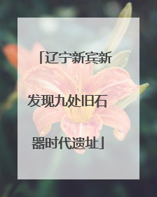 辽宁新宾新发现九处旧石器时代遗址