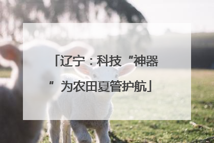 辽宁：科技“神器”为农田夏管护航