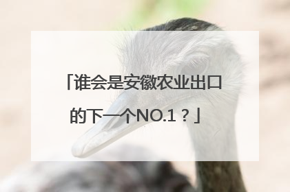 谁会是安徽农业出口的下一个NO.1？